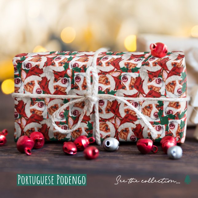 Papel De Presente Padrão de Natal Engraçado do Podengo Português (Criador carregado)