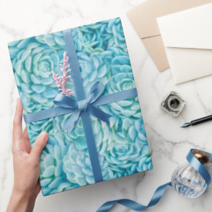 Papel De Presente Padrão De Suculentes De Echeveria Teal Claro