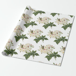 Papel De Presente Padrão do ventilador rosa