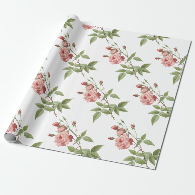 Papel De Presente Padrão do ventilador rosa (Desenrolado)
