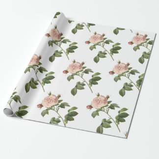 Papel De Presente Padrão do ventilador rosa