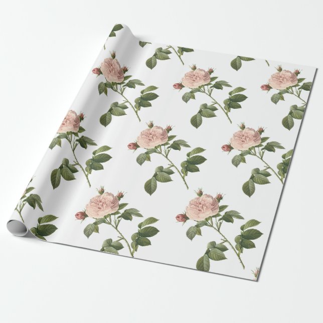 Papel De Presente Padrão do ventilador rosa (Desenrolado)