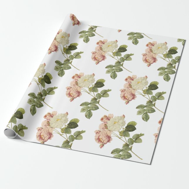 Papel De Presente Padrão do ventilador rosa (Desenrolado)