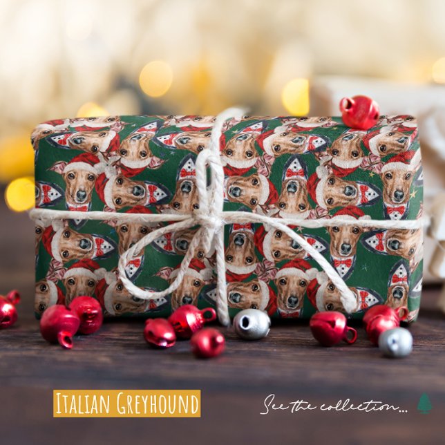 Papel De Presente Padrão engraçado de Natal de Galgo Italiano (Criador carregado)
