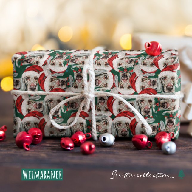 Papel De Presente Padrão Engraçado de Natal de Weimaraner (Criador carregado)