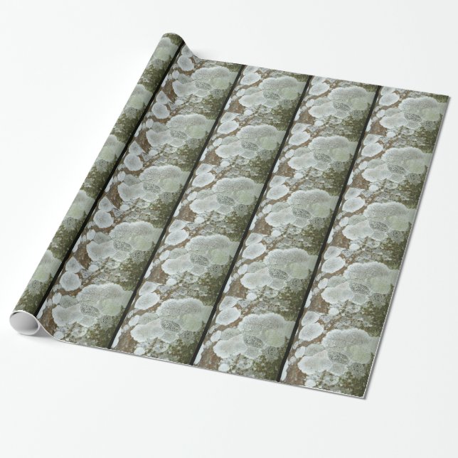 Papel De Presente Padrão natural branco (Desenrolado)