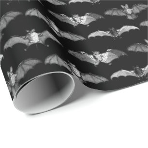Papel De Presente Padrão Preto de Ilustrações Detalhadas de Espécies