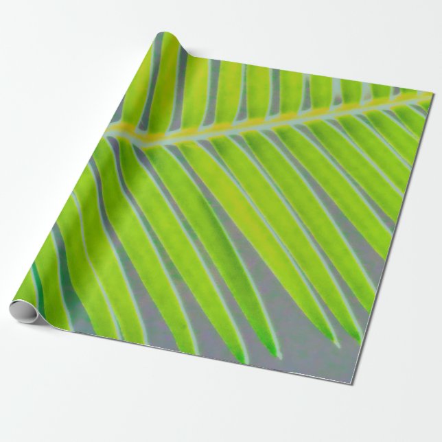 Papel De Presente Padrões de Palmas (Desenrolado)