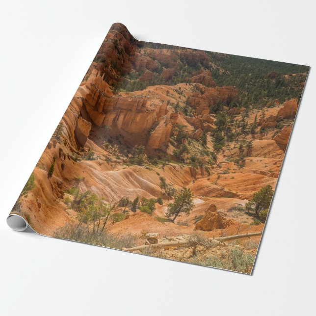 Papel De Presente Paisagem deserta do Parque Nacional de Bryce Canyo (Desenrolado)