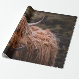 PAPEL DE PRESENTE PAISAGENS DRAMÁTICAS E MOÓDICAS INSPIRADAS PELA
