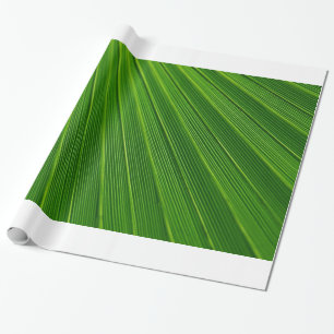 Papel De Presente Palm Leaf