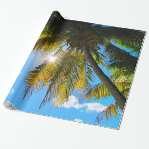 Papel De Presente Palm Paradise Blue Sky Sunshine