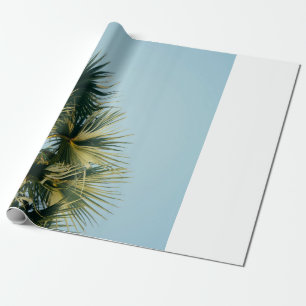 Papel De Presente Palmeira do ventilador sob o céu azul