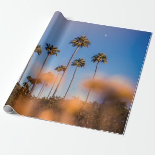 Papel De Presente Palmeira sob céu azul
