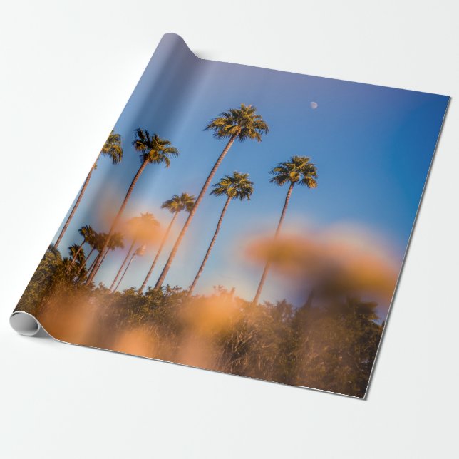 Papel De Presente Palmeira sob céu azul (Desenrolado)