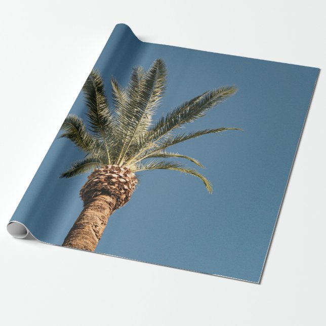 Papel De Presente Palmeira verde sob céu azul pela manhã (Desenrolado)