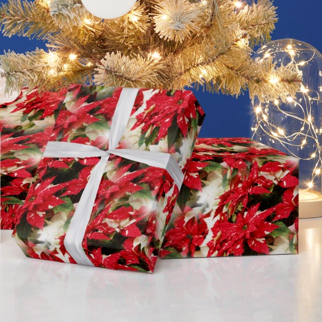 Papel De Presente Pancreatite Festiva Vermelha Branca (Feriados)