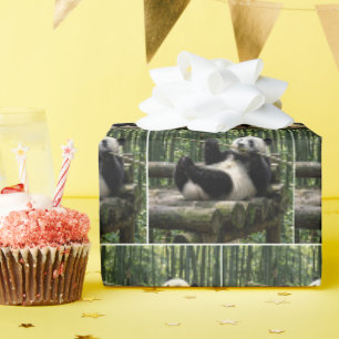 Papel De Presente Panda em uma Plataforma de Tronco