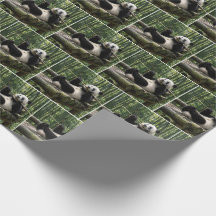 Panda em uma Plataforma de Tronco