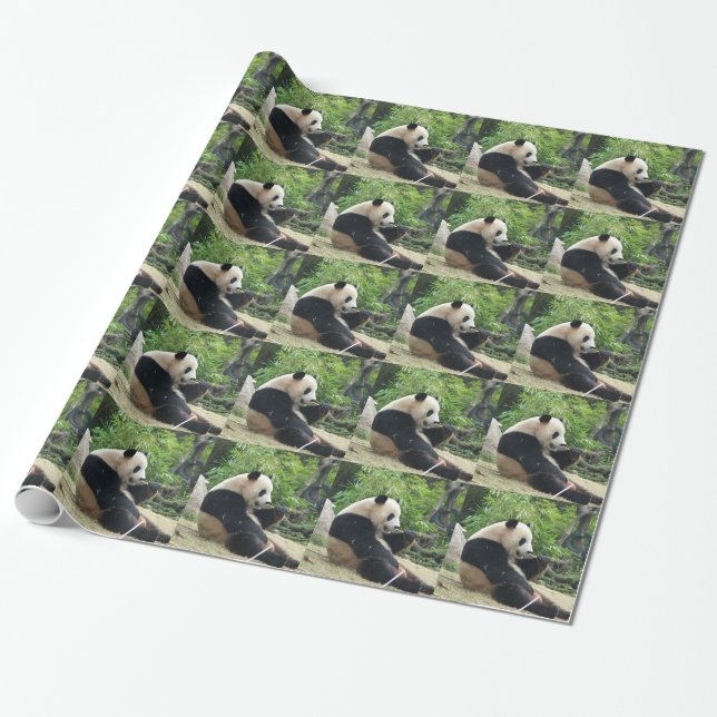 Papel De Presente Panda gigante comendo bambu. (Desenrolado)