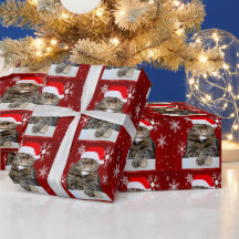 Papais noeis de Natal Gato Humbug Foto Floco de Ne