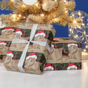 Papel De Presente Papais noeis - Natal do Cachorro do Weimaraner