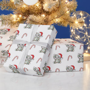 Papel De Presente Papéis De Vidro Para Animais De Inverno De Gato