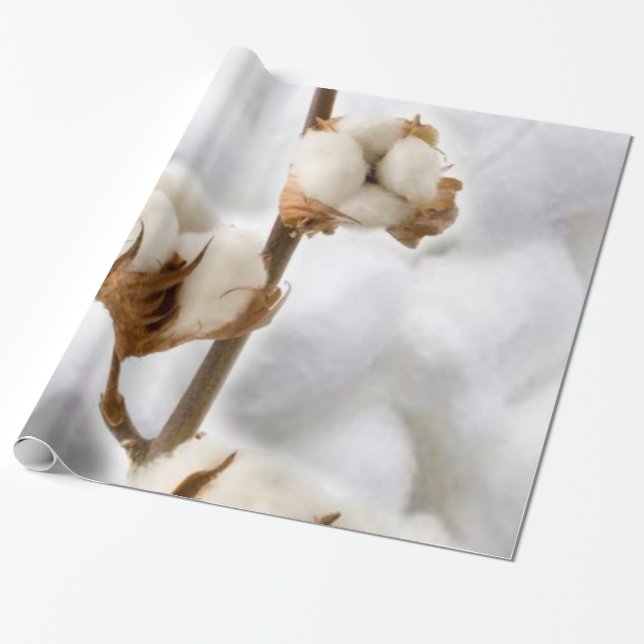 Papel De Presente Papel Brilhante, Algodão (Desenrolado)