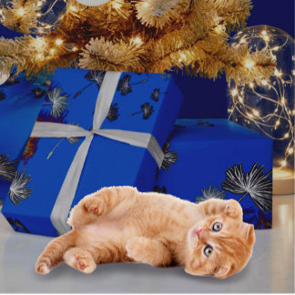 Papel De Presente Papel de empacotamento