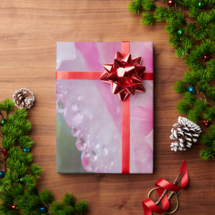 Papel De Presente Papel de enrolamento de coral, gramíneas e coloraç