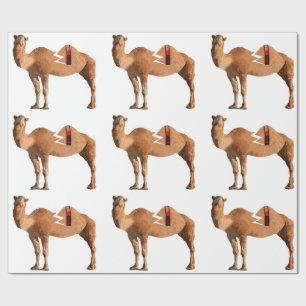 Papel De Presente Papel de enrolamento de divórcio