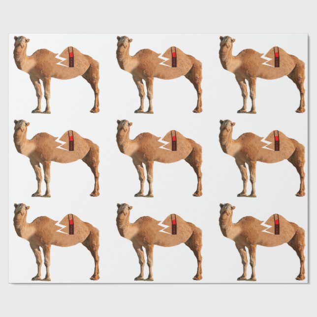 Papel De Presente Papel de enrolamento de divórcio (Aberto)