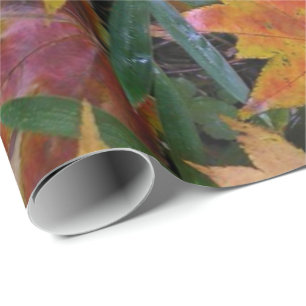 Papel De Presente Papel de enrolamento de esquilo