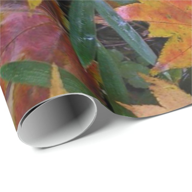 Papel De Presente Papel de enrolamento de esquilo (Ponta do rolo)