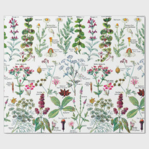 Papel De Presente Papel de enrolamento de ilustrações botânicas