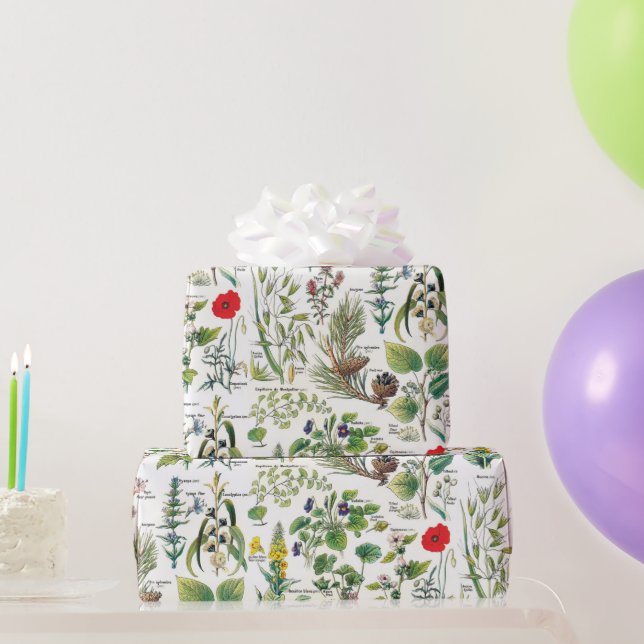 Papel De Presente Papel de enrolamento de ilustrações botânicas (Presentes para festas)