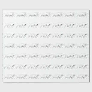 Papel De Presente Papel de envolvimento do camarão