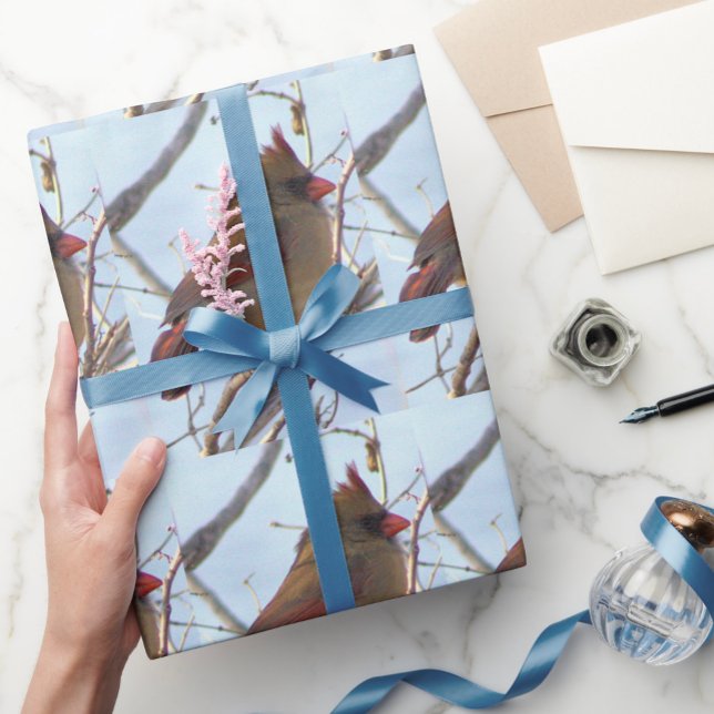 Papel De Presente Papel de moldagem de fotos no cardeal do norte (Criador carregado)