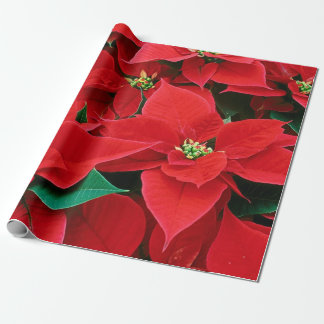 Papel De Presente Papel de Moldagem de Poinsettias de Natal