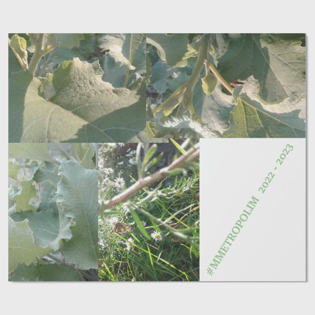 Papel De Presente Papel de moldagem/MMETROPOLIMdesign (Aberto)