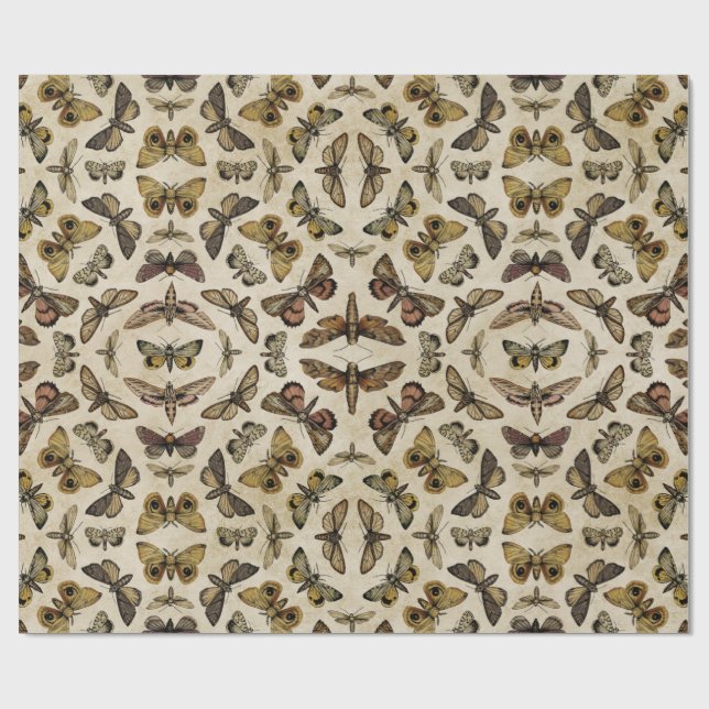 Papel De Presente Papel Vintage Moths Wrapap (Aberto)