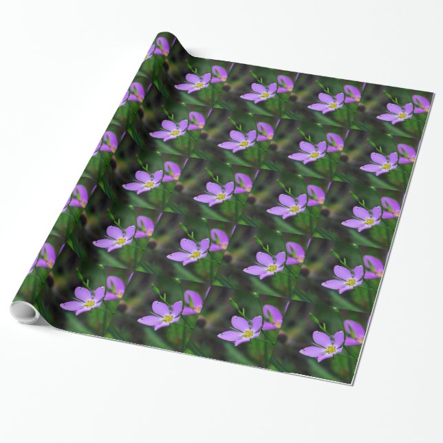 Papel De Presente Papel Wildflower Sabatia na Lavanda (Desenrolado)