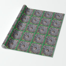 Papel De Presente Papel Zen Gardening Wraping