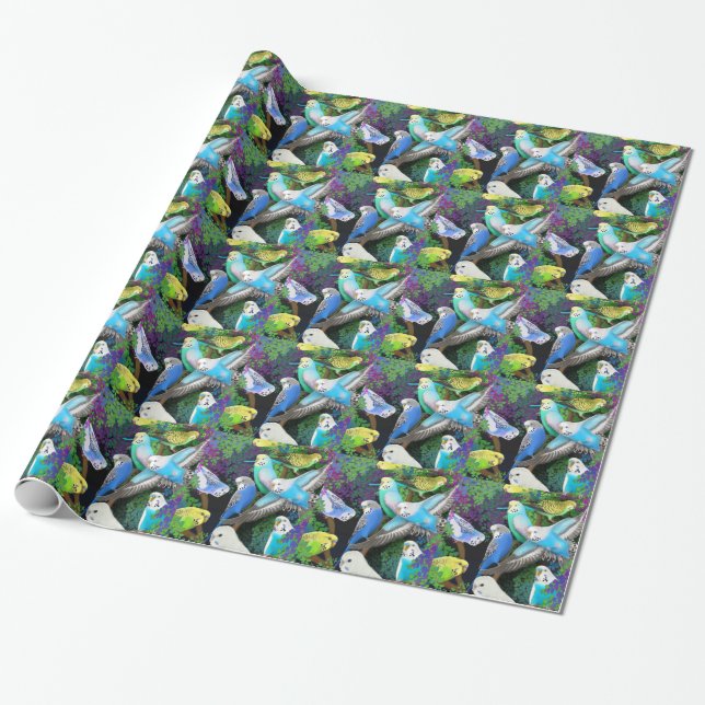 Papel De Presente Parakeets do Budgerigar no papel de envolvimento (Desenrolado)