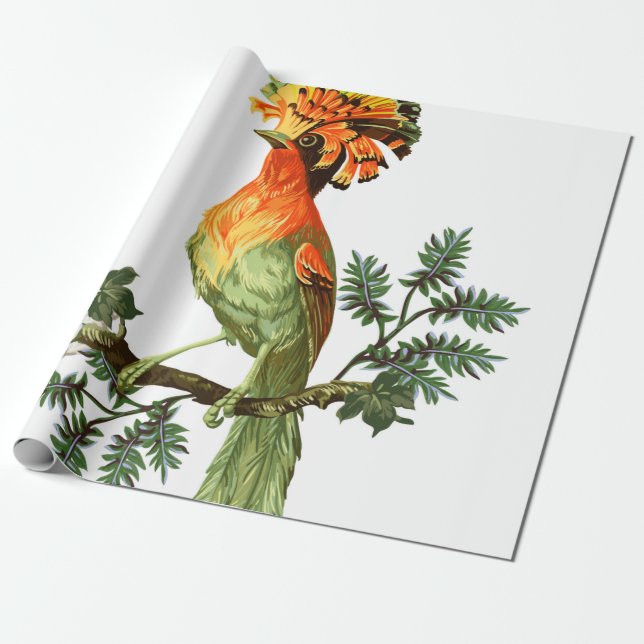 Papel De Presente Pássaro do Paraíso e flores exóticas em uma base b (Desenrolado)