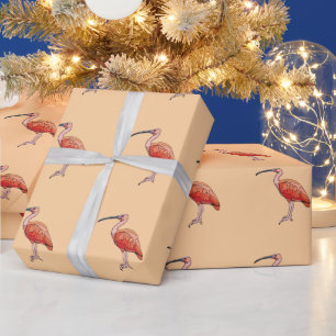 Papel De Presente Pássaro Íbis Escarlate Feliz Aniversário
