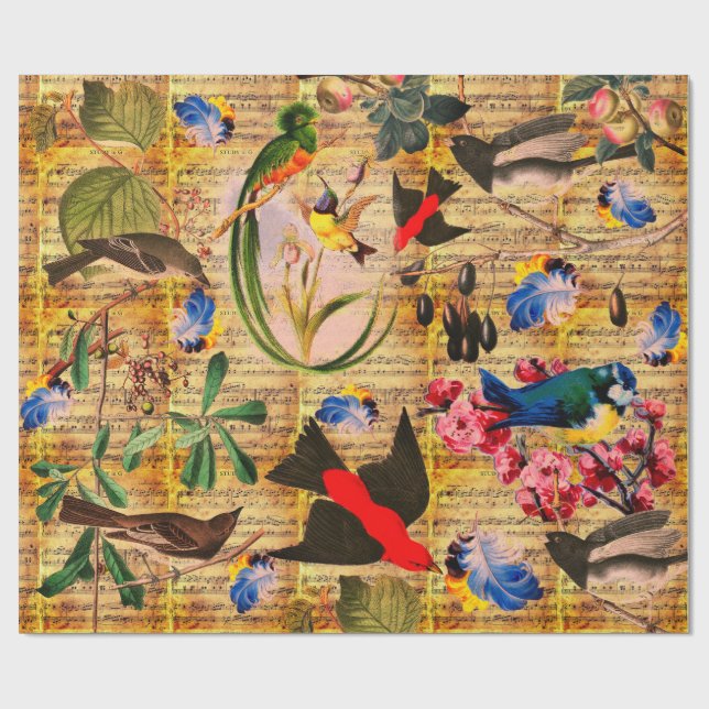Papel De Presente PÁSSAROS DA PRIMAVERA, PENAS, FRUTAS Notas Musicai (Aberto)