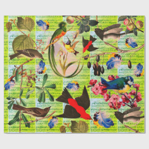 Papel De Presente PÁSSAROS DA PRIMAVERA, PENAS, FRUTAS Notas Musicai