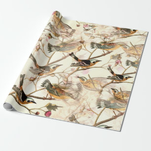 Papel De Presente Pássaros em um galho