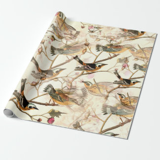 Papel De Presente Pássaros em um galho